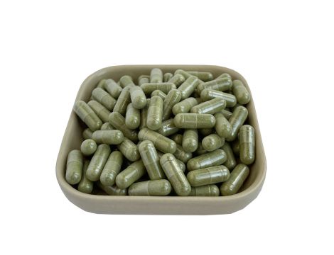 Kapsułki Moringa